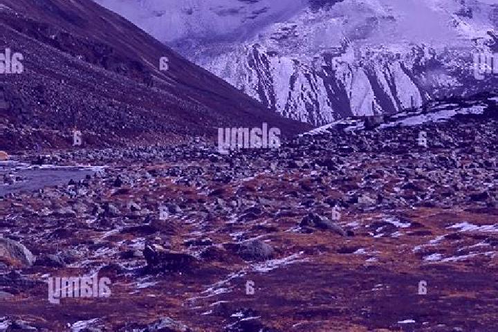 Escorts Tundra, India — Local Companions