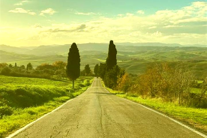 Escorts Tuscany, Canada — Local Companions