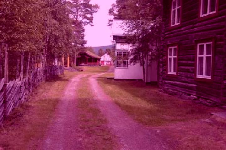 Escorts Tynset, Norway — Local Companions