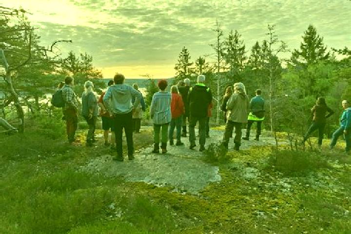 Escorts Ucklum, Sweden — Local Companions