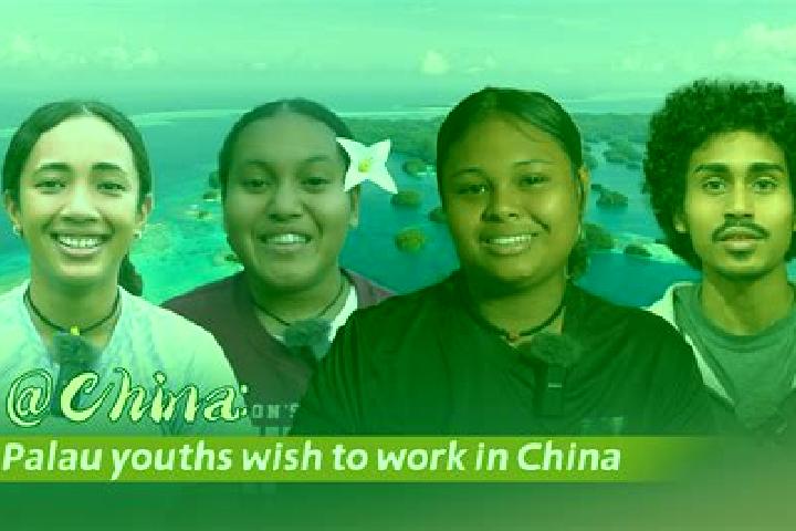 Escorts Ulimang, Palau — Local Companions