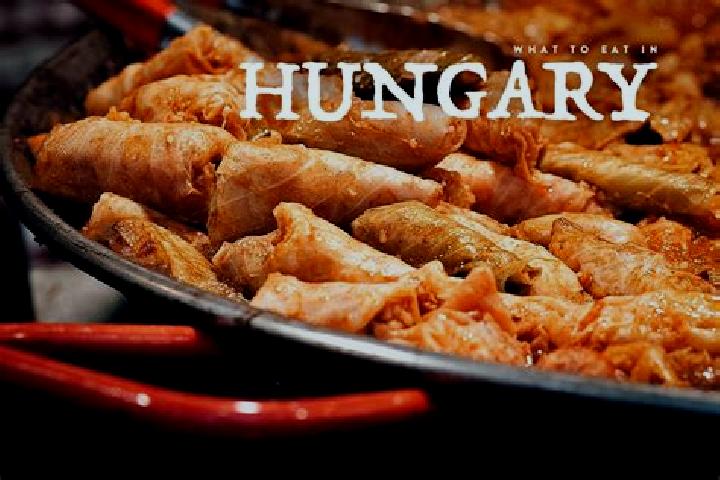 Escorts Ulles, Hungary — Local Companions