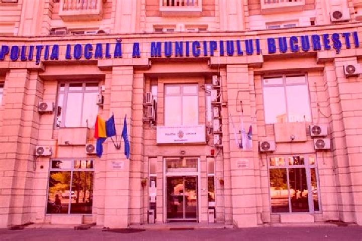Escorts Ulmu, Romania — Local Companions