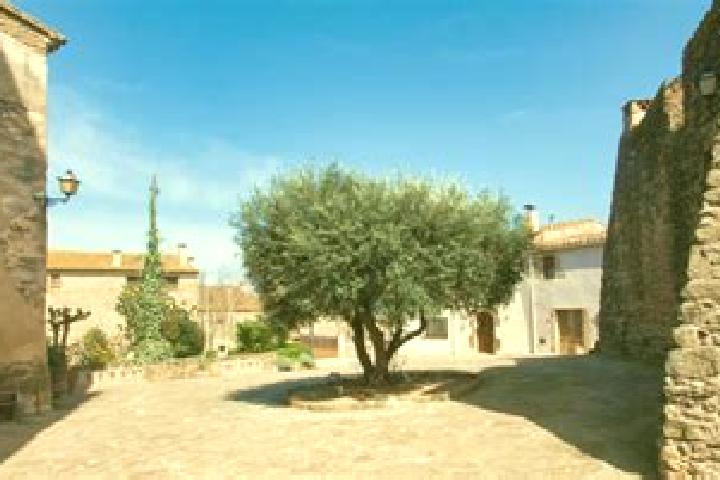 Escorts Ultramort, Spain — Local Companions