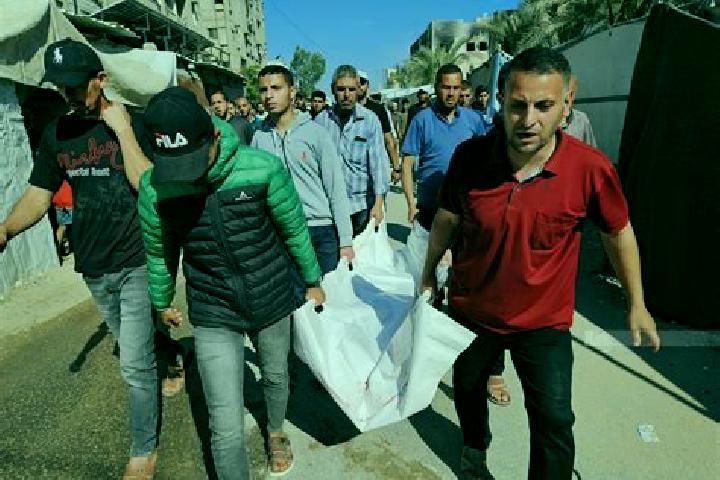 Escorts Umm ad Daraj, Palestine — Local Companions