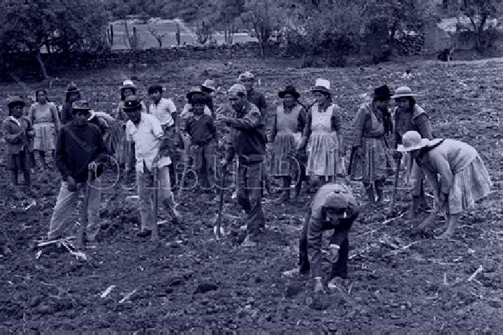 Escorts Unidad Familiar Confederacion de Trabajadores Campesinos, Mexico — Local Companions