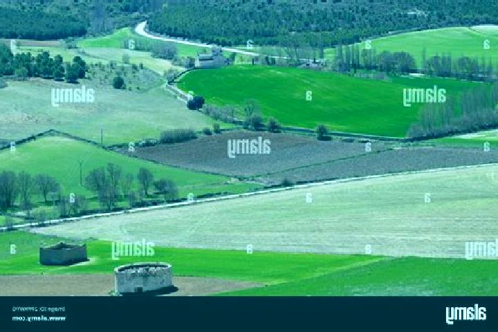 Escorts Uruena, Spain — Local Companions