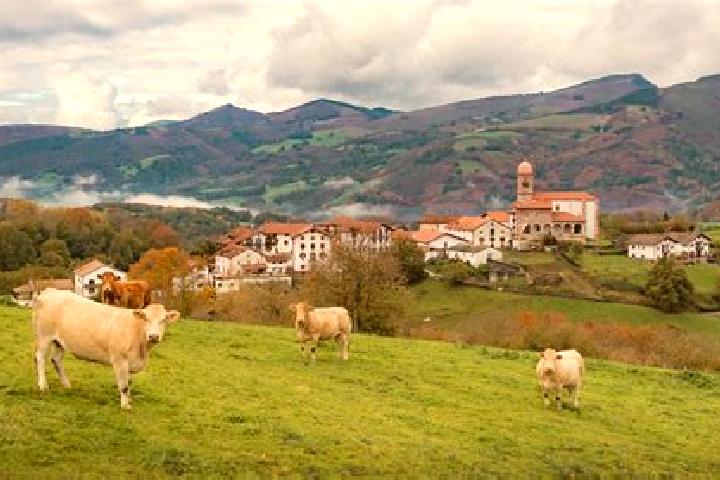 Escorts Uterga, Spain — Local Companions