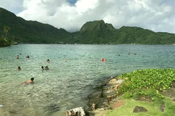Escorts Utulei, American Samoa — Local Companions
