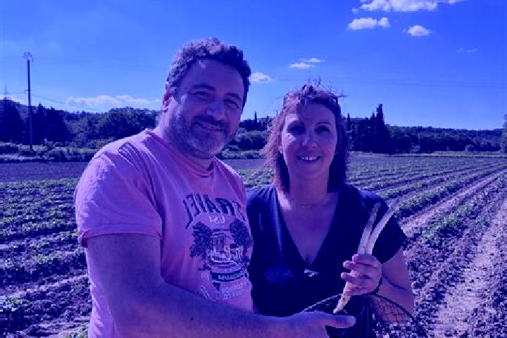 Escorts Valaurie, France — Local Companions