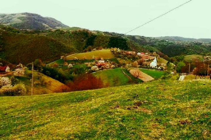 Escorts Valea Grecului, Romania — Local Companions