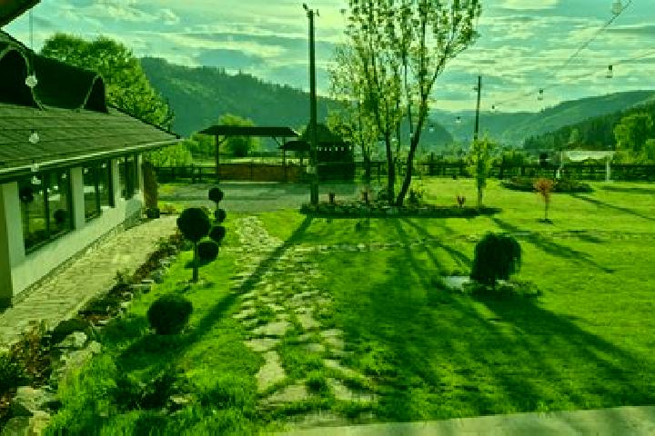 Escorts Valea Mare, Romania — Local Companions