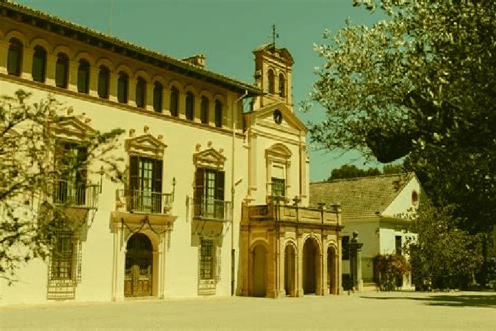 Escorts Vallesa de la Guarena, Spain — Local Companions
