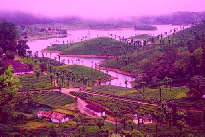 Escorts Valparai, India — Local Companions