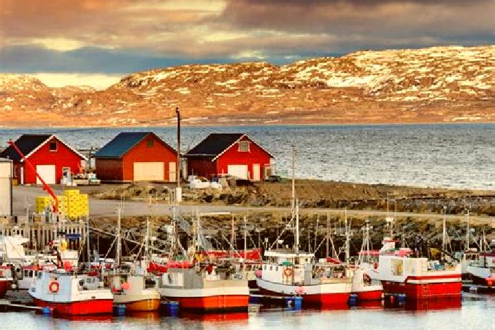Escorts Vardo, Norway — Local Companions