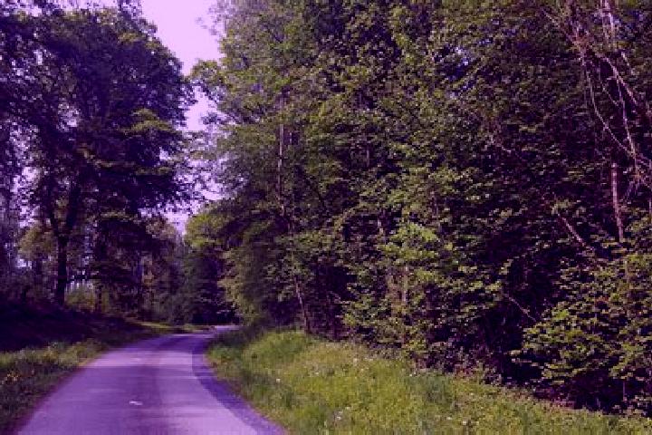 Escorts Varennes-en-Argonne, France — Local Companions