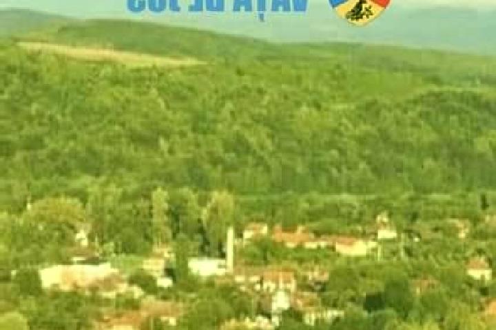 Escorts Vata de Jos, Romania — Local Companions