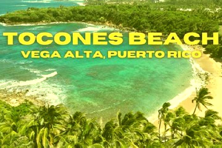 Escorts Vega Alta, Puerto Rico — Local Companions