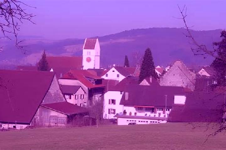 Escorts Veltheim, Germany — Local Companions