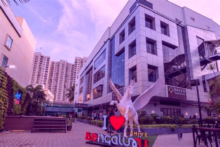 Escorts Venkatapura, India — Local Companions