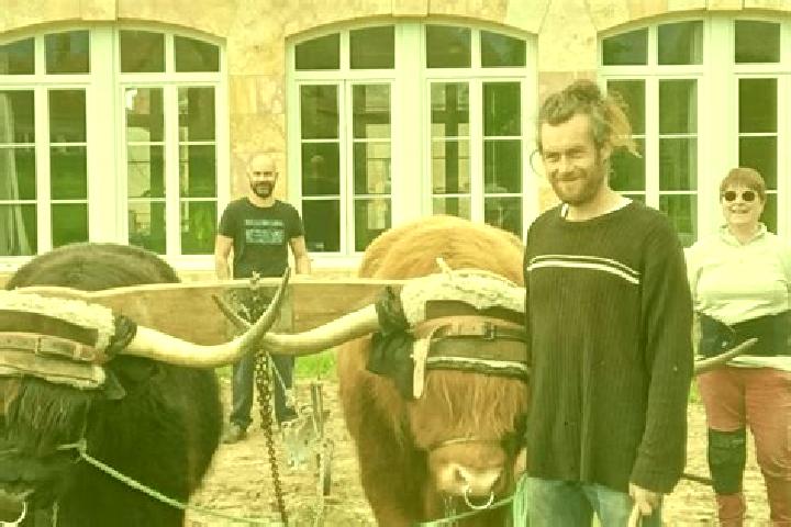Escorts Vesdun, France — Local Companions