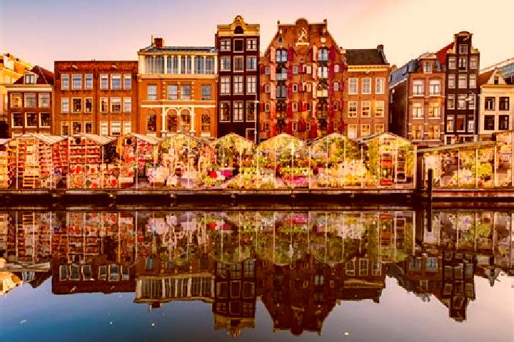Escorts Vianen, Netherlands — Local Companions
