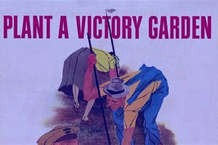 Escorts Victory Gardens, United States — Local Companions