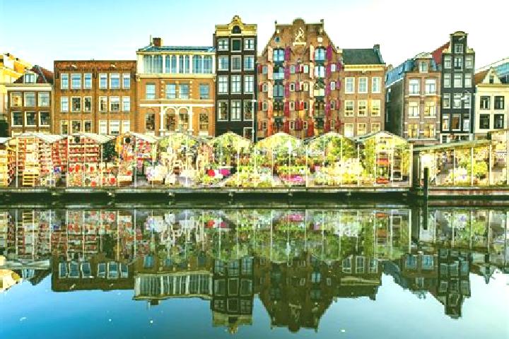 Escorts Vierpolders, Netherlands — Local Companions