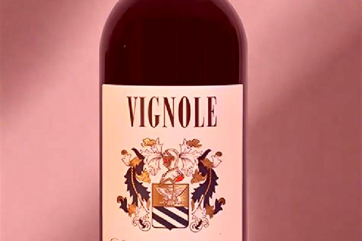 Escorts Vignole-Olmi, Italy — Local Companions
