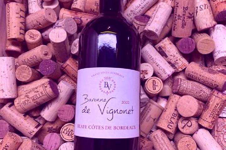 Escorts Vignonet, France — Local Companions