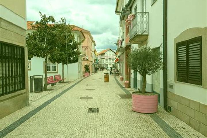 Escorts Vila Nova de Foz Coa, Portugal — Local Companions