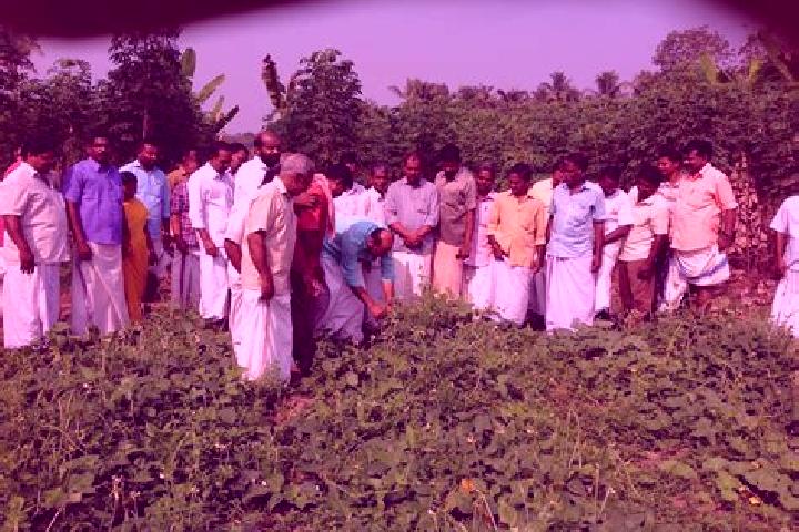 Escorts Vilappil, India — Local Companions