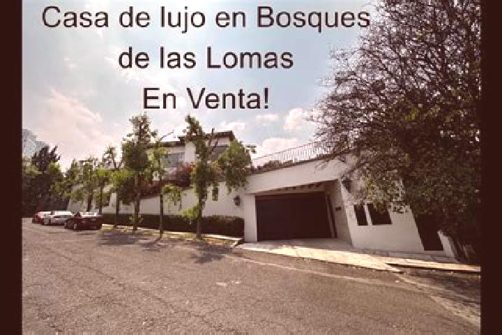 Escorts Villa Doctor Gomez (Las Lomas), Mexico — Local Companions