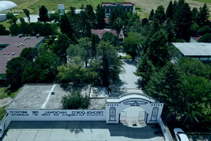 Escorts Villa Montemorelos, Mexico — Local Companions
