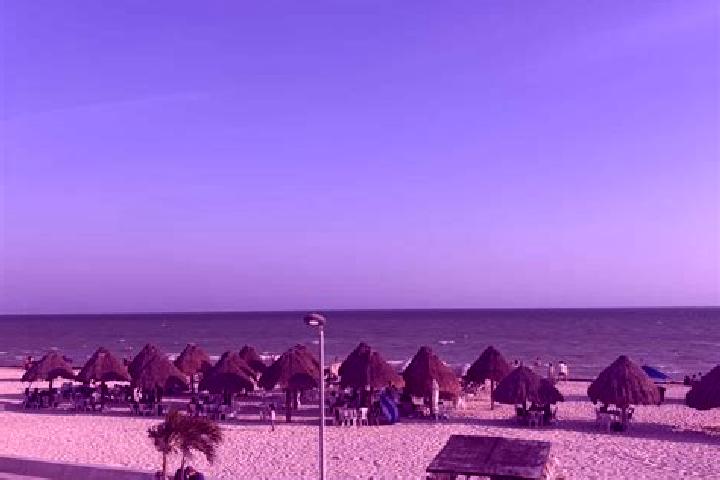 Escorts Villa Progreso, Mexico — Local Companions
