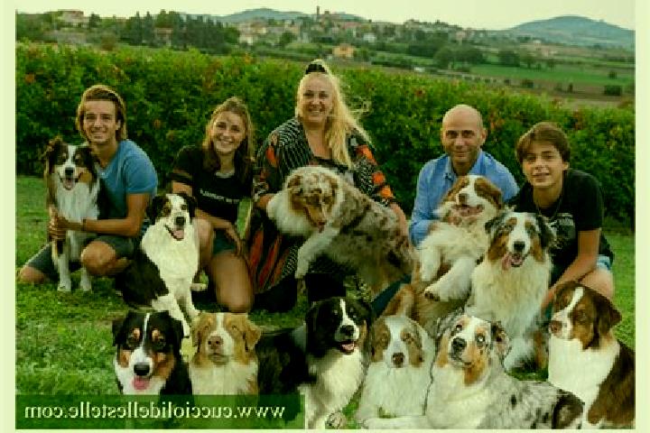 Escorts Villadose, Italy — Local Companions
