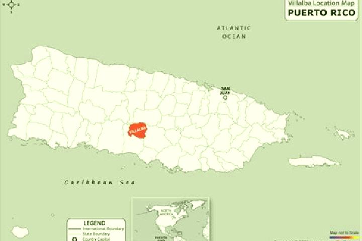 Escorts Villalba, Puerto Rico — Local Companions