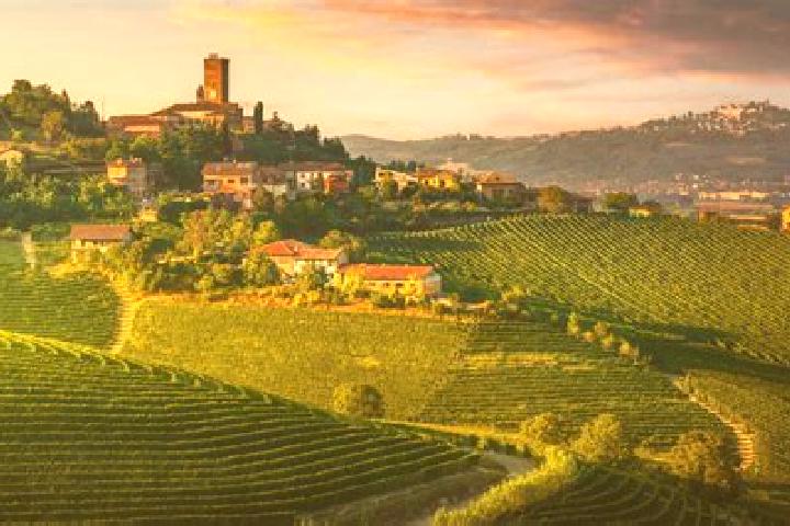 Escorts Villamagna, Italy — Local Companions