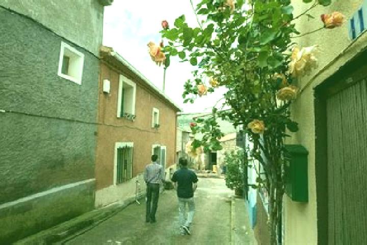 Escorts Villar del Salz, Spain — Local Companions