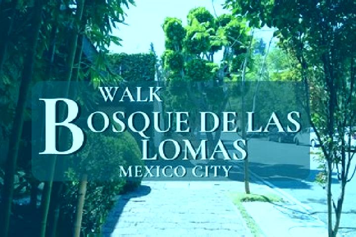 Escorts Villas de la Loma, Mexico — Local Companions