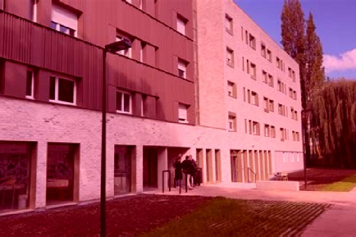 Escorts Villeneuve-d Ascq, France — Local Companions