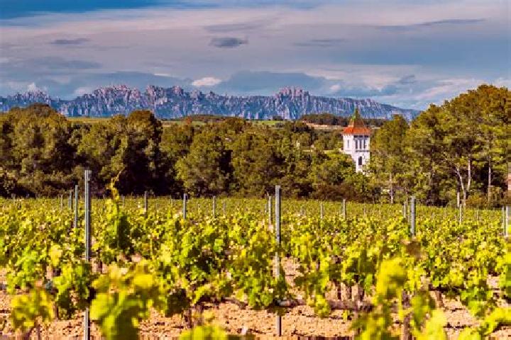 Escorts Vilobi del Penedes, Spain — Local Companions