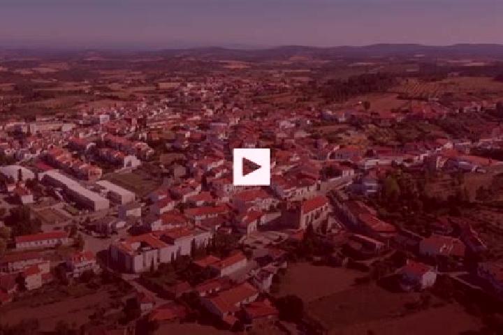 Escorts Vimioso, Portugal — Local Companions