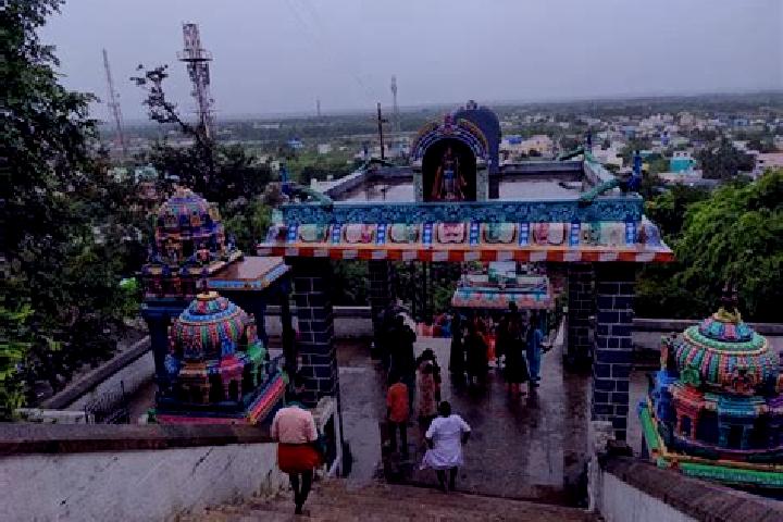 Escorts Viralimalai, India — Local Companions