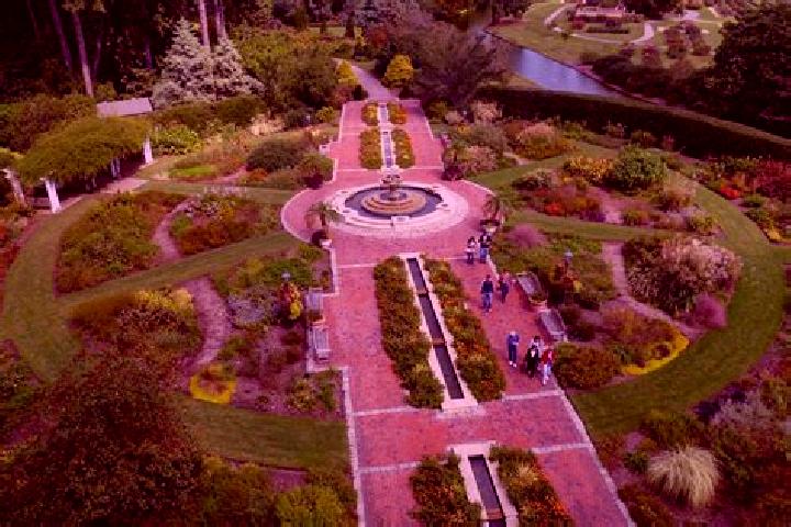 Escorts Virginia Gardens, United States — Local Companions