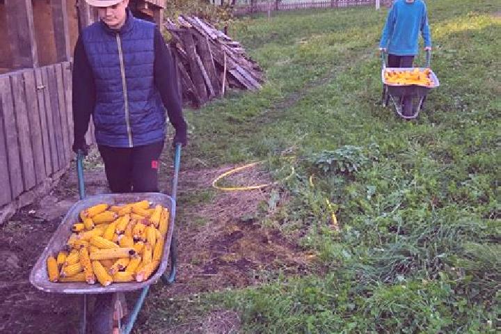Escorts Vlasin, Romania — Local Companions
