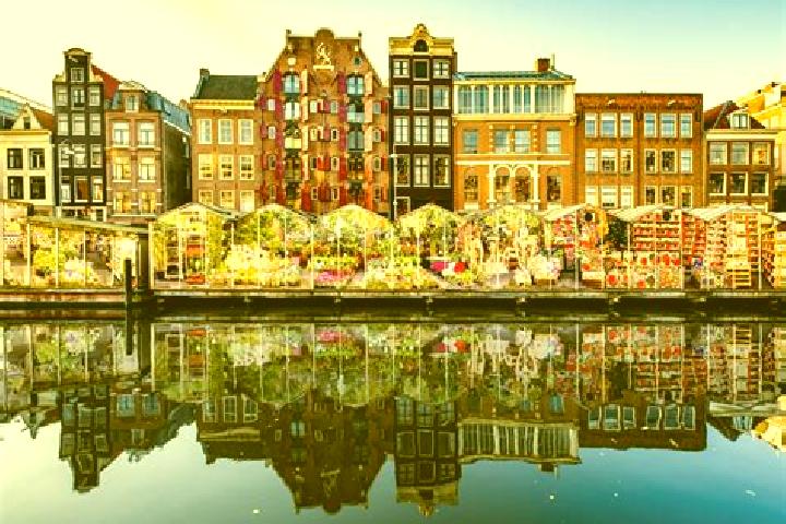 Escorts Vlierden, Netherlands — Local Companions