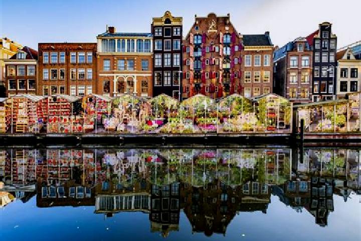 Escorts Vlodrop, Netherlands — Local Companions