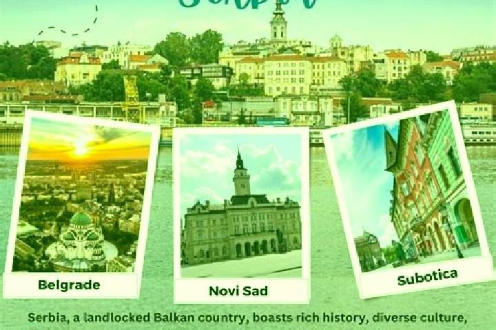 Escorts Vojvoda Stepa, Serbia — Local Companions