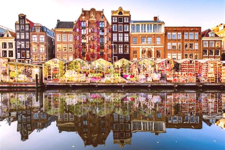 Escorts Voldijn, Netherlands — Local Companions